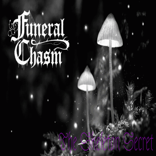 Funeral Chasm : The Skeleton Secret